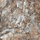 Alkorplan 3000 Touch authentic szer. 1,65 m