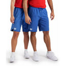 Arena szorty Bermuda Team Panel
