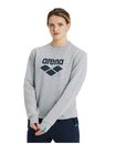 Arena bluza Crew Sweat Logo medium grey