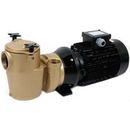 PAHLEN POMPA P85  PREFILTR BRĄZ 400V 84 m3/h