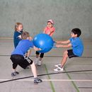 sport-thieme-ring-ball-piłka-z-uchwytami